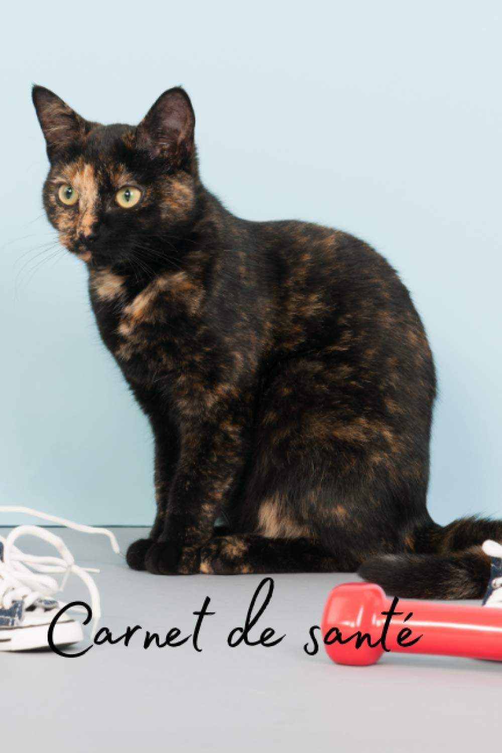 Carnet De Sante De Mon Chat Carnet De Suivi De Votre Chat Veterinaire Et Soins 102 Pages French Edition En Forme Un Felin Amazon Com Books