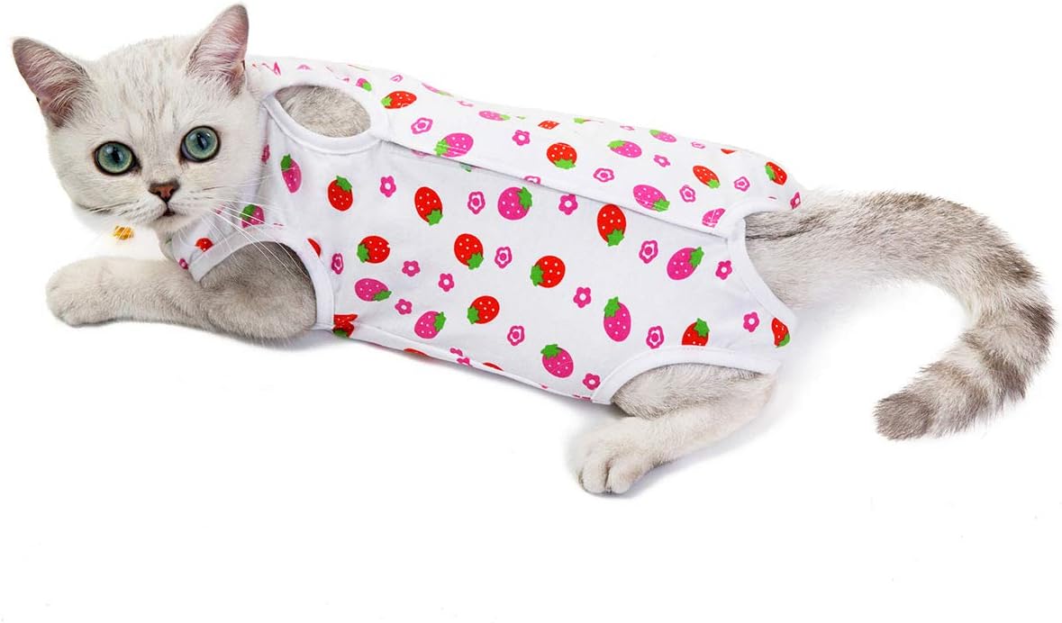 Kismaple Cat Recovery Suit for Abdominal Wounds Surgical Skin Diseases
