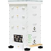 BeeTech Newest Windows 10 Frame Beehive Hand Painted Includes Unassembled Bee Hive Box with Beehive Frames and Foundations (2 Deep & 2 Medium)