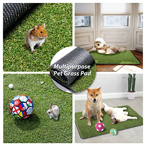 Artificial Grass Dog Mat, Washable Dog Crate Mat, Reusable Puppy Pee