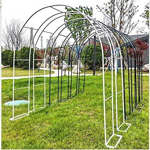 GEREP Selbstversammlung Eisen Rosenbogen Torbogen, für Kletterpflanzen Rosen Ranken, Outdoor Garten Rasen Backyard Terrasse, Hochzeit/C / 1.8×2.2M – Bild 8