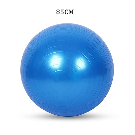 Amazon.com: Exercise Yoga Ball Sports Stability Balance Ball ...