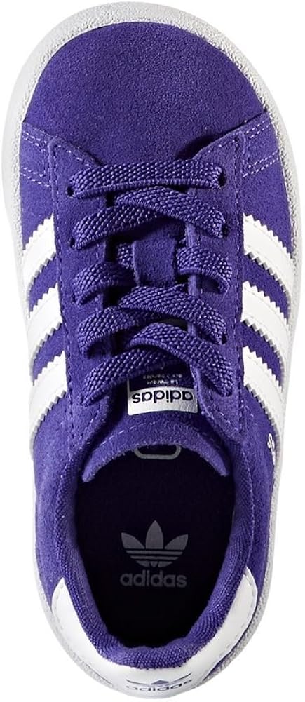 adidas campus moradas