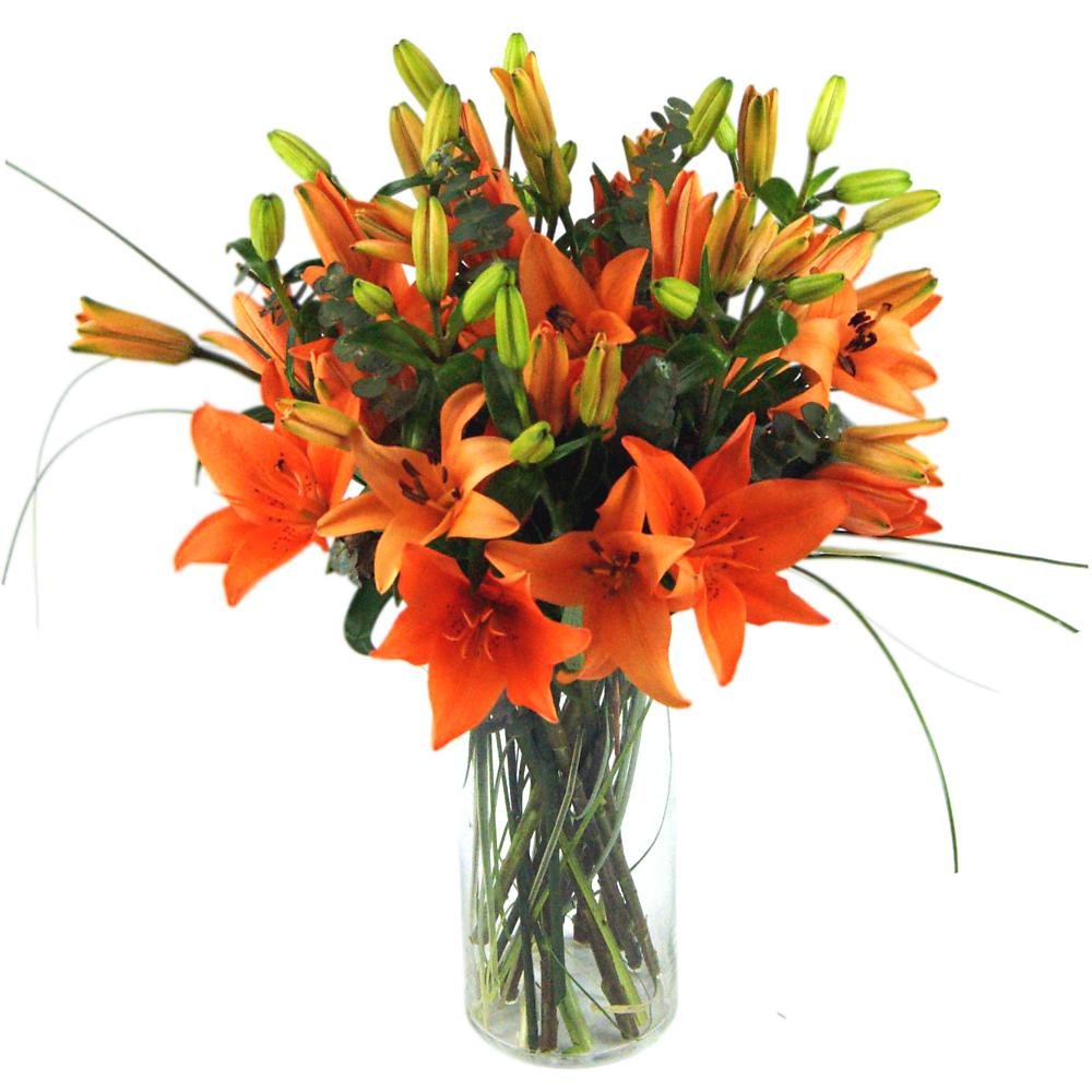 Clare Florist Orange Tiger Lilies Fresh Flower Bouquet - Stunning Orange Lilies Expertly Arranged by Florists for a Fantastic Gift