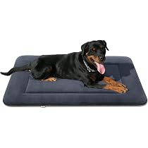 large dog beds perth