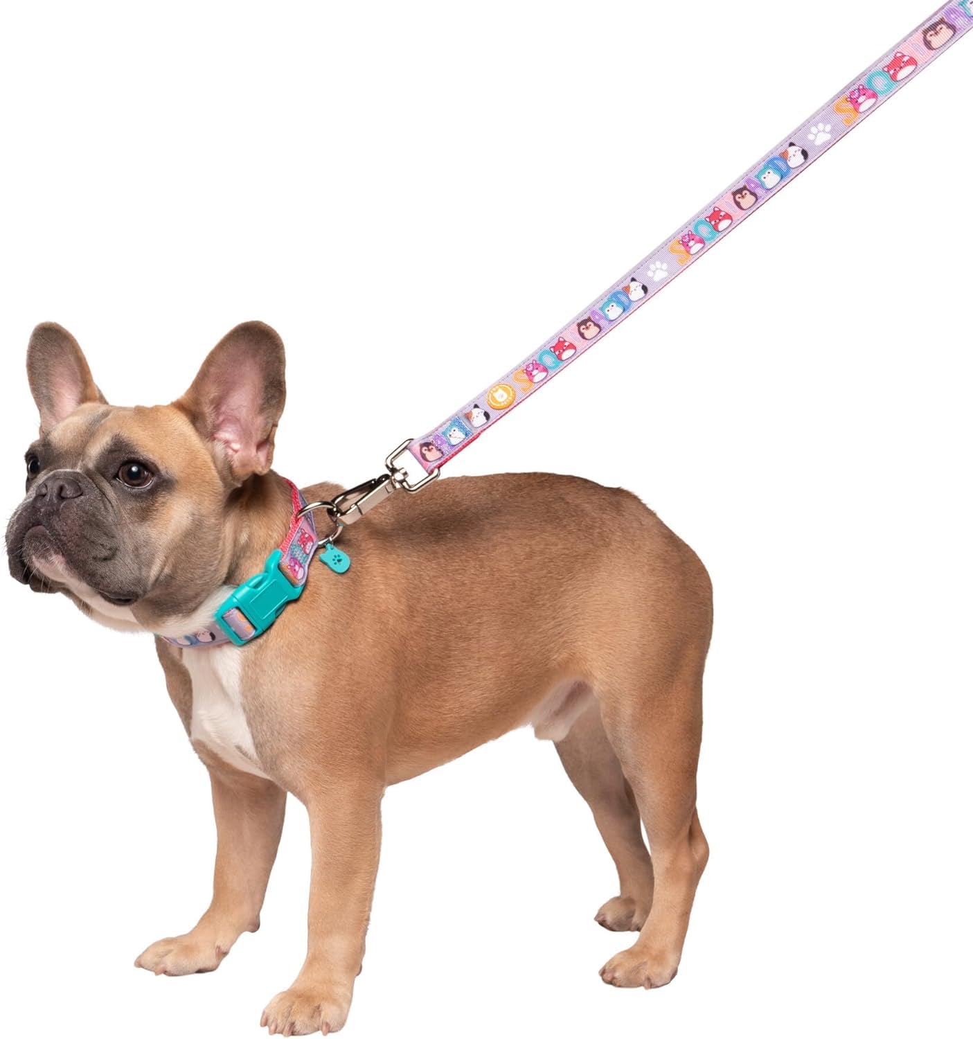 Squishmallows Original Squish Squad Pet Leash/Lead - Official Jazwares Pets Apparel