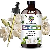 61XkLIGqyrL. AC UL160 SR160,160 Herbal Remedies in Voodoo Healing