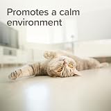 Beaphar StressLess Herbal Calming Spray for Cats & Dogs 125ml view 3