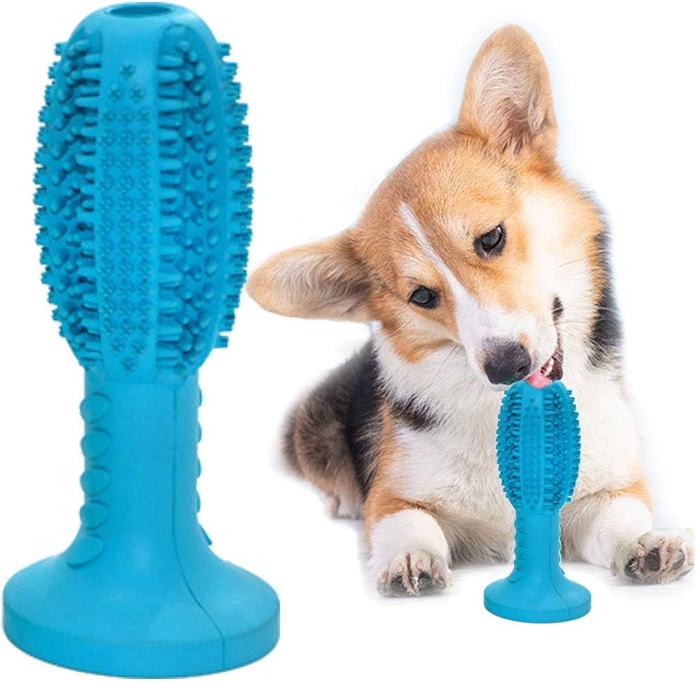 chewy dog toothbrush