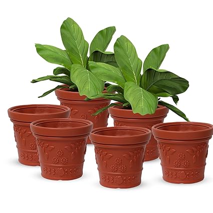 Prequality Overseas Wooden Jasmine Indoor with Variegated Self Watering Pot Indoor Outdoor Plant Purifying Money Resistant Hanging Planter-6 Inches (Pack of 6)