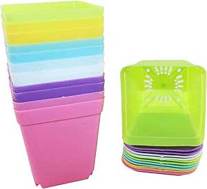Tegg Flower Pot 12PCS Colorful Thick Square Plastic Plant Nursery Pots Plant Containers with Drainage Hole and Saucers for Garden Desk Home Decor