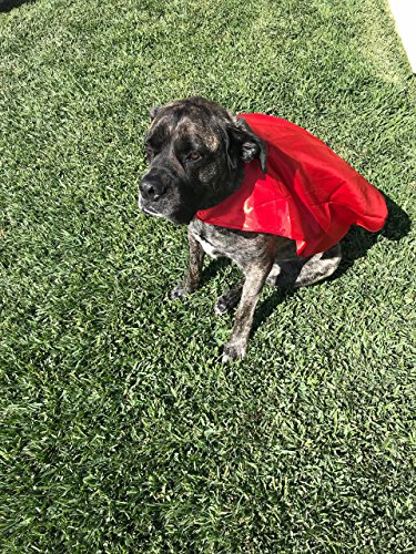 Bulk 5 Super Hero Costume Capes In Assorted Colors