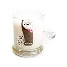 Coconut Cove Candle - 10 Oz. Highly Scented White Jar Candle - Fruit Candles Collection
