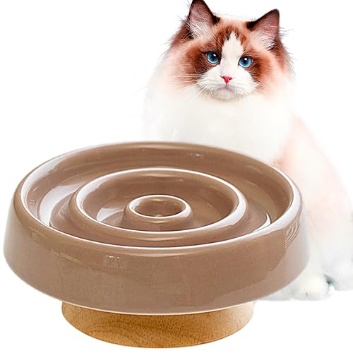 VEEKI Slow Feeder Cat Bowl, Ceramic Elevated Whisker Friendly
