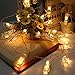 Fairy LED Photo Clips Lights - 30 Battery Operated String Lights for Hanging Artwork, Memos, Paintings - Bedroom, Dorm, Home Decor (Warm White)
