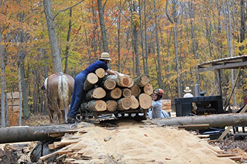 Black Walnut Boards. 3/4" x 4" x 12" (2 pack). Amish Milled - Thumbnail 5