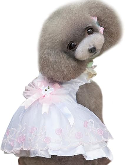 piumino per cani benetton