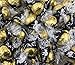 Lindt LINDOR 70% Cocoa Dark Chocolate Truffles, Gold Black Wrap (Pack of 2 Pounds) (1 PACK)