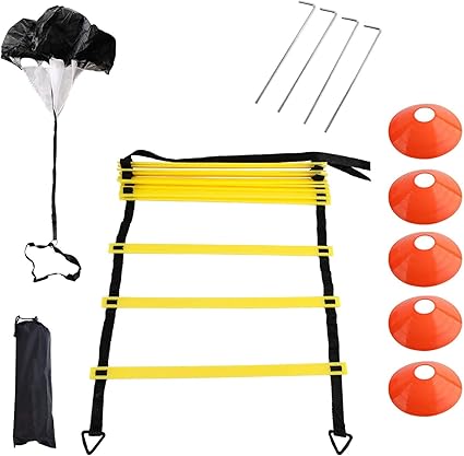 circle agility ladder