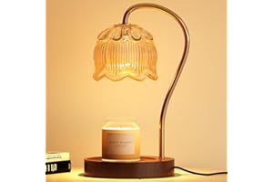 FIBEVON Glass Candle Warmer Lamp, Electric Candle Lamp Warmer with Timer, Vintage Wax Melt Warmer for Scented Jar Candles,Ideal Home Decor for Women/Wife/Mother Gift
