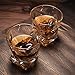 Whiskey Stones Gift Set - 8 Stainless steel Chilling Whisky Rocks + Set of 2 Premium Lead-Free Crystal Glass Cups -10 oz Tasting Tumblers and Ice Stone for Scotch, Bourbon, Irish Whisky, Brandy