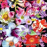 500 Flowers: A celebration of the natural world by