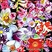 500 Flowers: A celebration of the natural world by