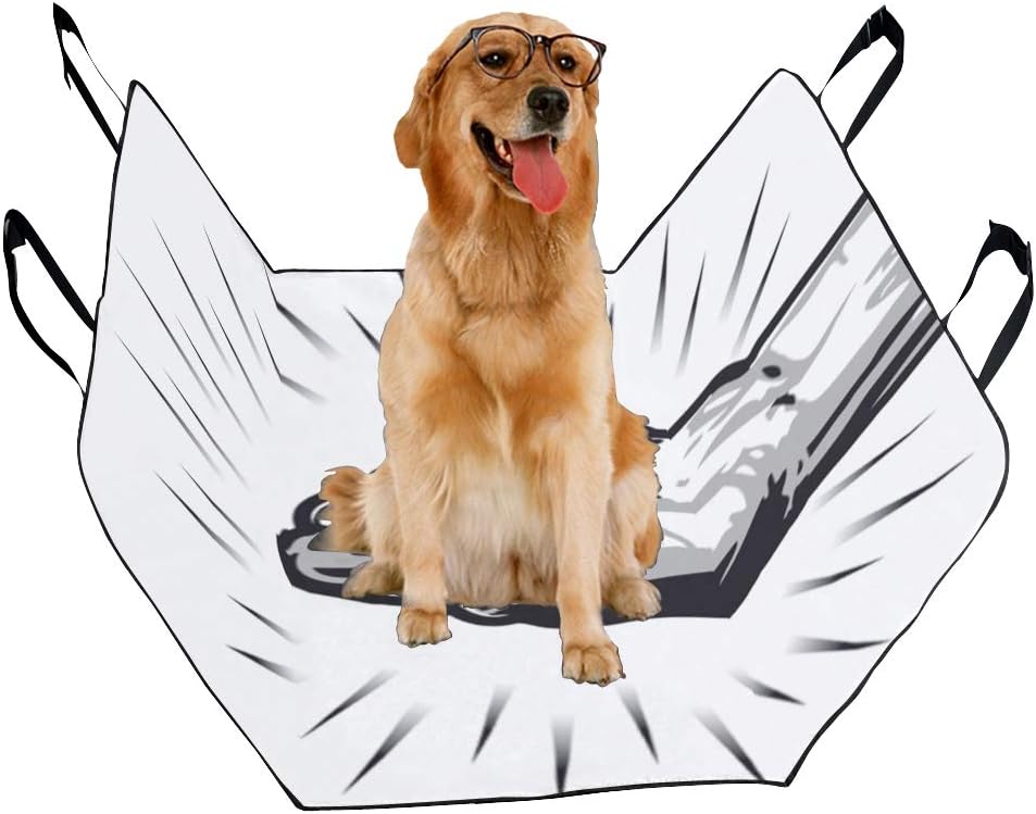 revolution for dogs amazon