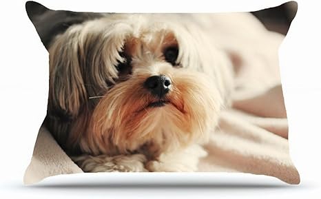 Amazon Xcdhhdクイーン枕カバーサイズ X 30インチコットン枕カバー装飾枕カバー隠しファスナー付きインテリアクッションカバー 動物ヨークシャー テリアカップs Curiosityマズル犬のリビングルーム クイーン ブラック 枕カバー ピローケース オンライン通販