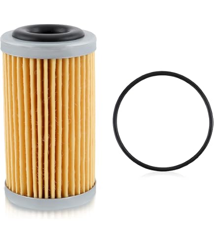 Amazon.com: DEUSES [Replacement car Parts] Transmission Oil Filter