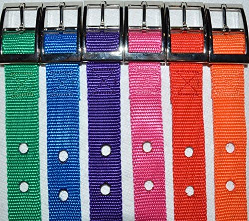 CollarSafe Metal Buckle Style 1" Wide Replacement Collar-Fits MOST (not all) modules requiring holes-for PetSafe & other brands,wireless containment,electric fence,training/bark systems Purple