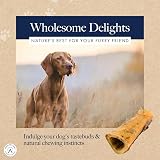 Hollings Unfilled Smoked Shank Bone for Dogs 1 Count view 6