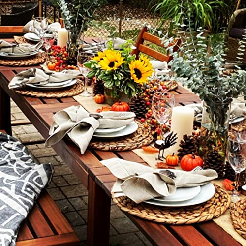 CENBOSS Woven Placemats (13.5" Set of 4, Brown Wash) Round Placemats