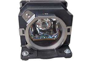 GOLDENRIVER 5J.J2K02.001 Original Bulb Projector Lamp OEM Bulb Inside with Housing Compatible with BENQ W500 Projector