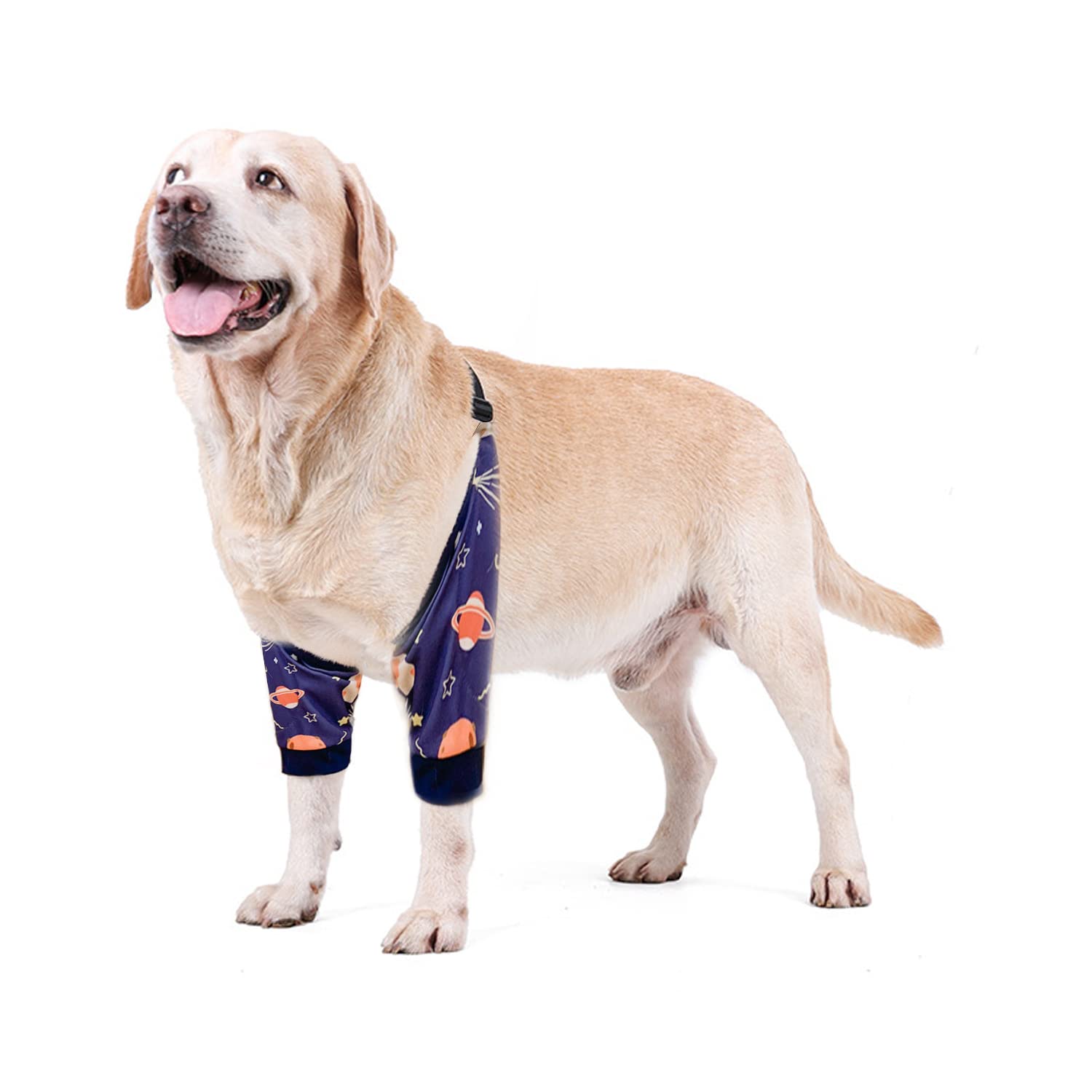 Blue Dream Island Dog Front Leg Braces Recovery Sleeve, Pet Knee Brace Wounds Protector for Medium Large Dog_L(Universe)