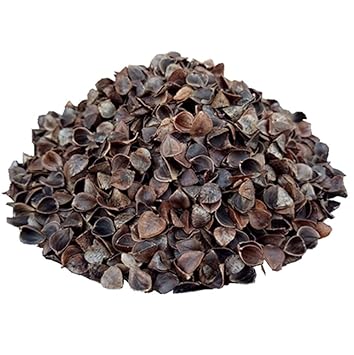 Amazon.com: Ivie - Conchas de trigo orgánico limpias y ...