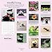 Mindful Living 2017 Mini Calendar