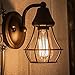 Hudson Bulb Co. Vintage Incandescent Edison Light Bulbs, 60W, E26/E27 Base, 2100K Dimmable Decorative Lights, ST58 Style Warm Glow, Antique Squirrel Filament for Outdoor and Indoor Use - 6 Pack