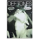 VQFYNOBCI Deftones Poster Vintega MusicCanvas Art for Room Aesthetic And Wall Art Picture Living Room Decor Poster12x18inch(30x45cm)
