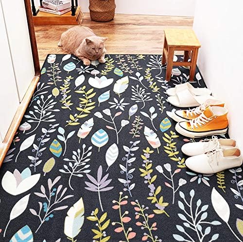WangYi Carpet- Carpet RUG square pad floor mat home mat door bedroom living room mat door mat porch mat bedroom bedside blanket balcony mat (Color : C, Size : 80 * 120CM)