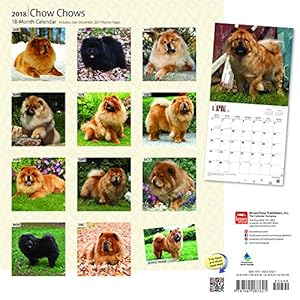 Chow Chows 2018 12 x 12 Inch Monthly Square Wall Calendar, Animals Dog Breeds