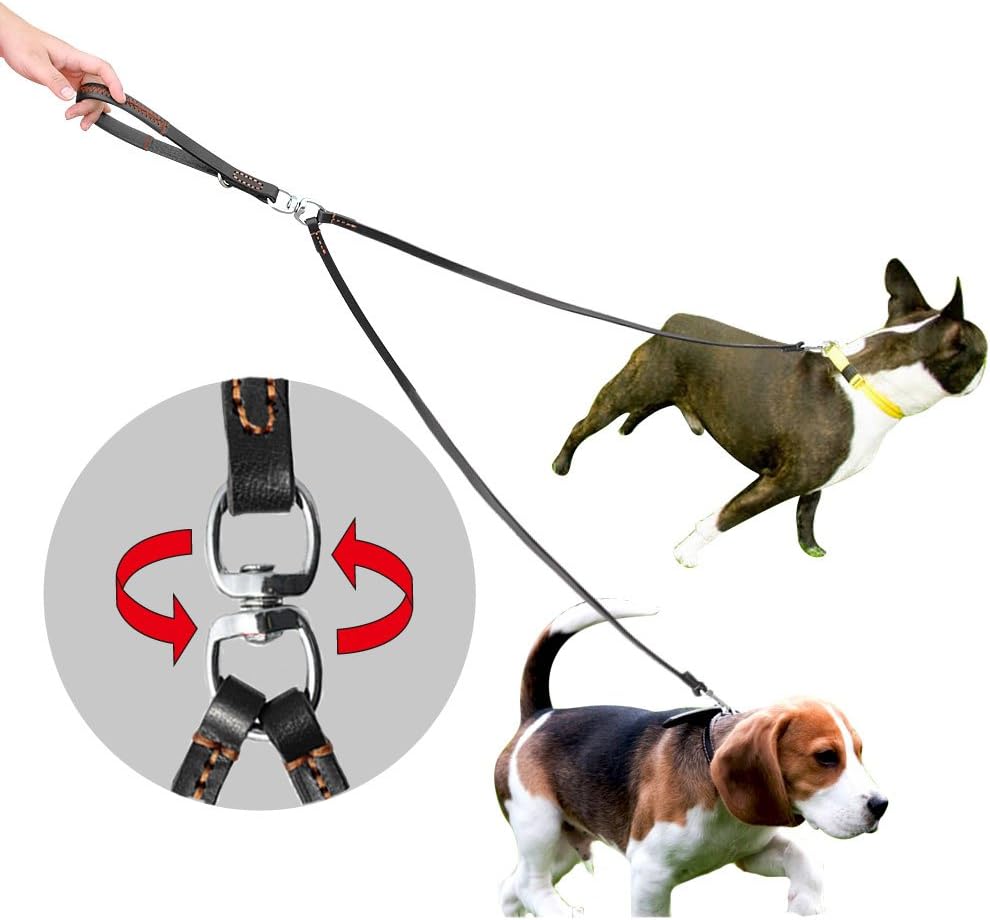 2 way dog leash Clearance