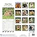 Chow Chow Calendar - Dog Breed Calendars - 2017 - 2018 wall Calendars - 16 Month by Avonside