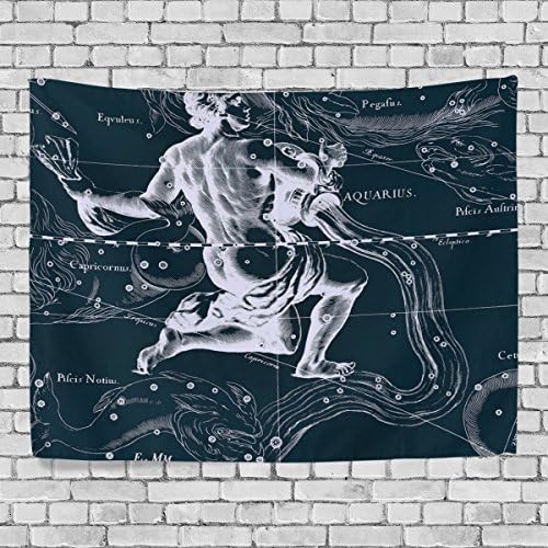 HMWR Fantasy Constellation Graph Aquarius Wall Hanging Tapestry Art Black Forest Nature Landscape Wall Dorm Decor 60" x 40"
