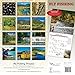Fly Fishing Dreams 2018 Calendar