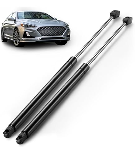 2x Front Hood Lift Supports For Hyundai Sonata 2015-2017 (PM3570 / 81161-C1000) - Set Of 2, Black