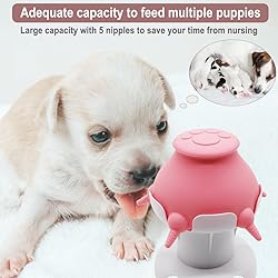 IFOYO Puppy feeders for multiple puppies, puppy