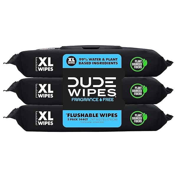 DUDE WIPES – FLUSHABLE WIPES – 3 PACK, 144 WIPES – UNSCENTED EXTRA-LARGE ADULT WET WIPES – VITAMIN-E & ALOE – SEPTIC AND SEWER SAFE