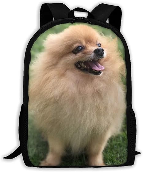 fluffy bookbag