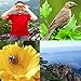 Best Toys for 4-9 Year Old Boys,Girls Happy Gift 8x21 Compact Waterproof Travel Binoculars,Best Gifts for Kids (Orange)